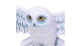 Harry Potter Hedwig Wall Plaque 45cm