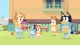 Joc Bluey The Videogame pentru XBOX SERIES
