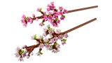 Joc Lego Cherry Blossoms (40725)