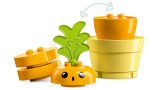 Joc Lego (r) Duplo(r) Growing Carrot (10981)