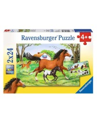 Puzzle Ravensburger World Of Horses 2x24pc (08882)