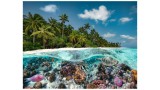 Puzzle Ravensburger A Dive In The Maldives 2000pc (10217441)