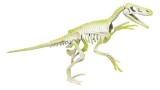  Clementoni Archeo Fun Velociraptor (78775)