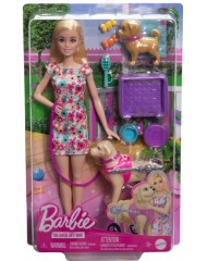 Papusa Barbie(r) And Accessories (htk37)