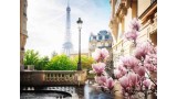  Puzzle Ravensburger Spring In Paris 500pc