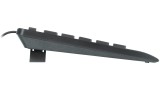  Keyboard Speedlink Hi Genic Antibacterial Black pentru PC