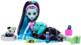 Papusa Monster High Creepover Party Frankie Stein Watzie (hky68)
