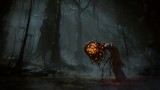 Joc Elden Ring Shadow Of The Erdtree Collector Edition pentru PS5