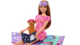 Papusa Barbie Puppy Slumber Party Doll (hxn01)