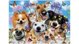  Educa 500 Pcs Selfie Fun In The Sun Puzzle (017983)