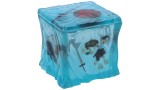  Dungeons & Dragons Gelatinous Cube Dice Box