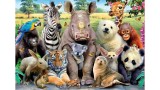  Educa 300 Pcs Class Photo Puzzle (80-15908)
