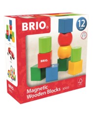 Brio Magnetic Wooden Blocks (30435)