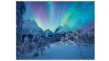  Ravensburger Puzzle The Arctic Show 1500p (12000802)
