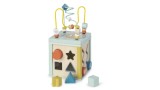  Saro Activity Cube (sao3345)