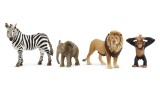 Figurina Joc Schleich Wild Life Africa Starter Set 42721