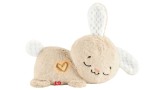 Jucarie Plus Fisher Price Sensimals Soothing Plush (hxg97)