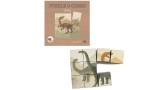  Egmont Toys Cube Puzzle Dino (570041)