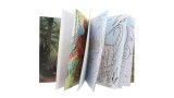  Dino World Colouring Book With Coloured Pencils (412746)