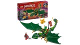 Joc Lego Ninjago Lloyds Green Forest Dragon (71829)