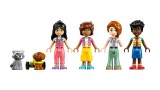 Joc Lego Friends Friendship Tree House Hangout (42652)