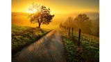  Ravensburger Landscape In Morning Sun 1000 Pcs (12001445)