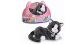 Jucarie Plus Baby Born My Cat Cookie With Box (837580)