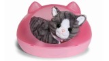 Jucarie Plus Baby Born My Cat Cookie With Box (837580)