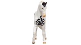 Figurina Joc Schleich Marwari Stallion 14898