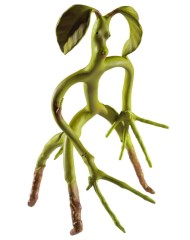 Bendable Bowtruckle Fantastic Beasts 18 CM