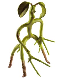 Bendable Bowtruckle Fantastic Beasts 18 Cm 