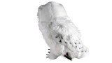Jucarie Plus Hedwig Plush Miniature Harry Potter 23 CM
