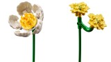 Joc Lego Botanicals Petite Sunny Bouquet (10347)