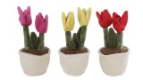Take Me Home Plant Plush Tulip Random (154934)