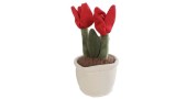 Take Me Home Plant Plush Tulip Random (154934)
