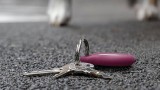 Belkin Secure Holder Keyring For Airtag Pink