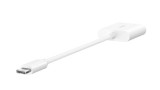 Belkin Rockstar 3.5mm Audio + Usb-c Charge Adapter