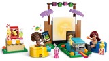 Joc Lego Friends Friendship Movie Night (42642)