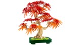 Joc Lego Botanicals Japanese Red Maple Bonsai Tree (10348)