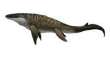 Jurassic World Movie Line Rebirth Mosasaurus (jch00)