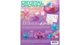 4m Crystal Growing / Magical Unicorn Crystal Terrarium (4m-03928)