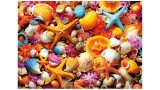 Educa 1000 Shell Collage (80-20246)