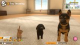 Joc Little Friends Dogs & Cats (code In A Box) pentru NSW