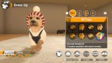Joc Little Friends Dogs & Cats (code In A Box) pentru NSW