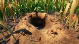 Joc Grounded Fully Yorked Edition pentru PS5