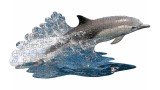 Madd Capp I Am Lil' Dolphin 100 Pcs Puzzle (105200)