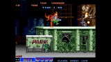 Joc Aca Neogeo Selection Vol. 5 pentru NSW