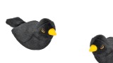 Wild Republic Plush Toy Bird With Sound European Blackbird 18cm (808027)