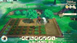 Joc Story Of Seasons Grand Bazaar Limited Edition pentru NSW