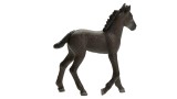Figurina Joc Schleich Friesian Foal (13977)